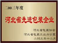 零叁年先進包裝企業